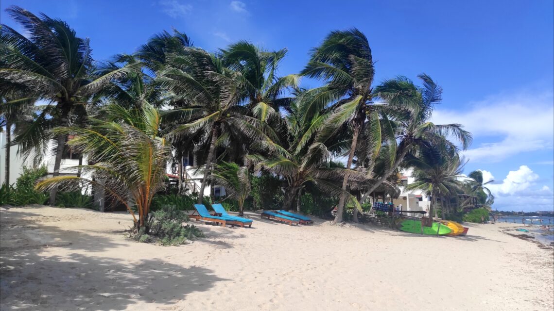 Am Strand und im Wasser